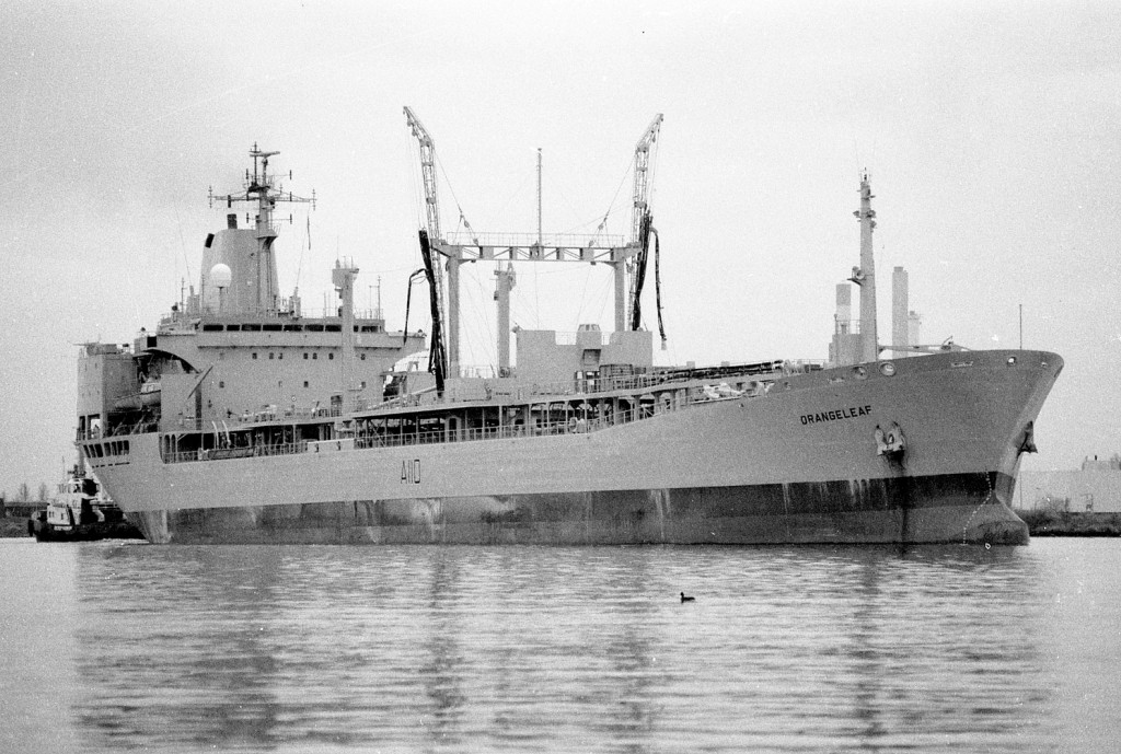 RFA ORANGELEAF
