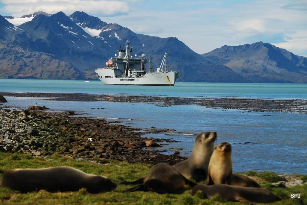 RFA WAVE RULER
South Georgia 2010
