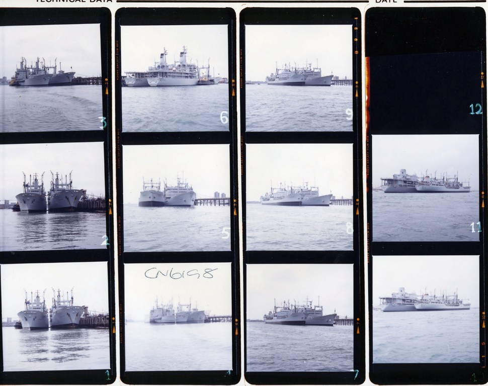 OLMEDA etc
Pearleaf, Grey Rover, Blue Rover.
Contact sheet from 12 colour transparencies.
